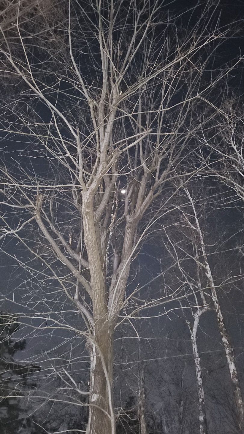 겨울이 지나면 봄은 오겠지