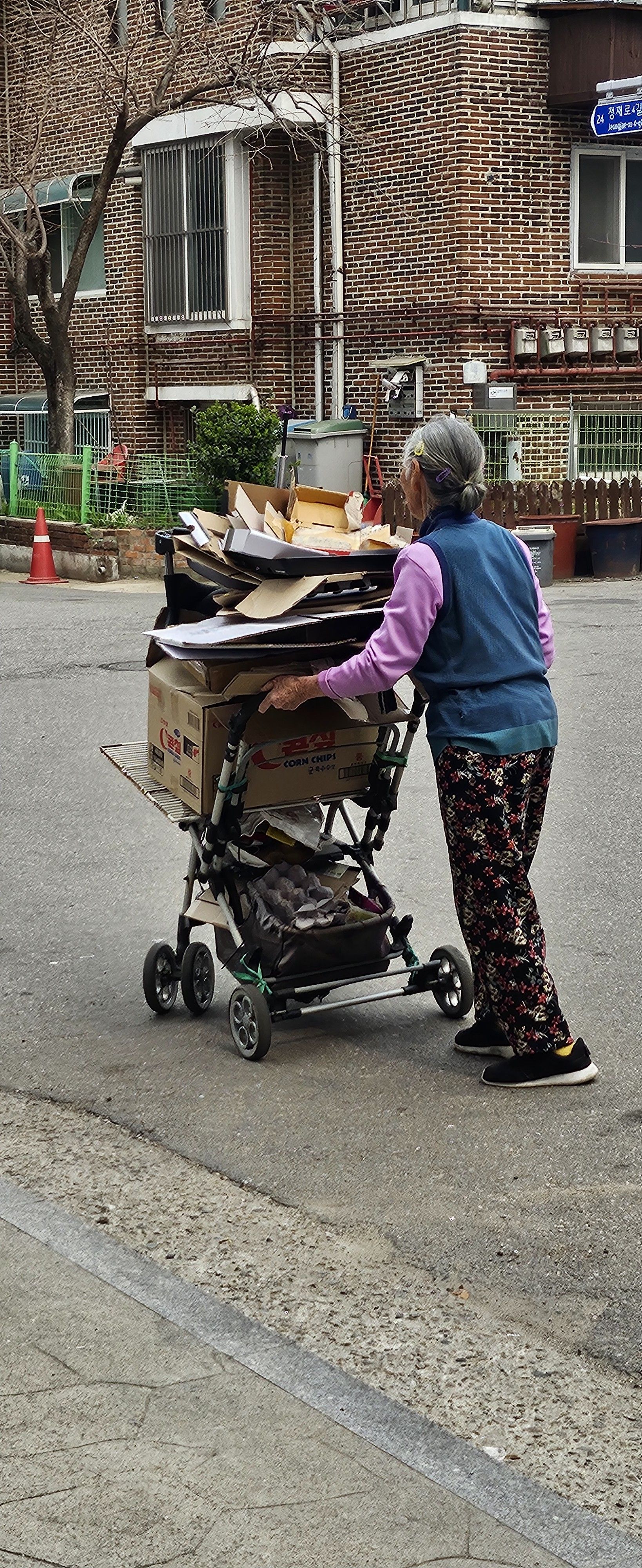 2025년 8월 1kg에 40원