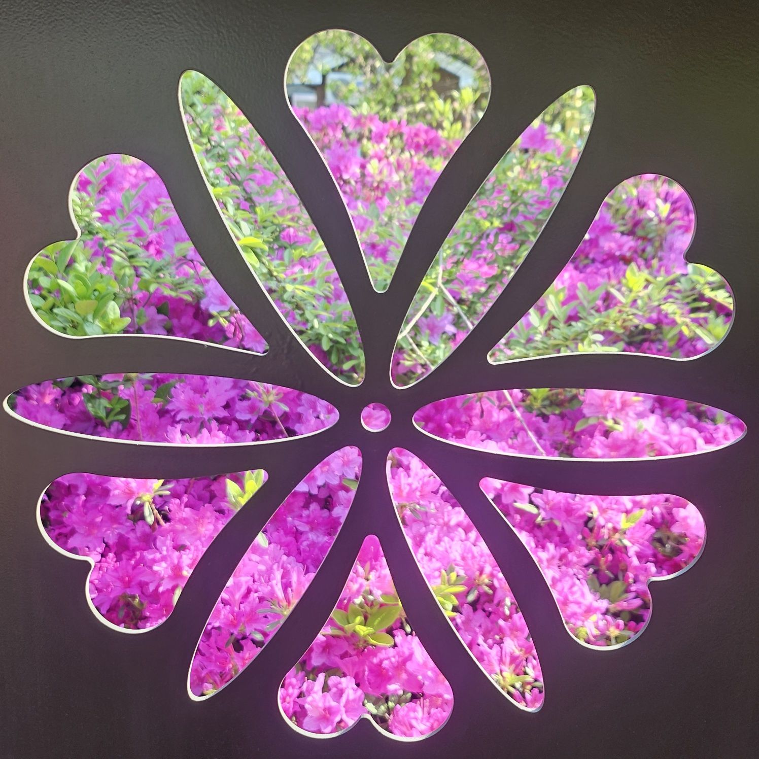 전통문향속의 핀 철쭉 꽃