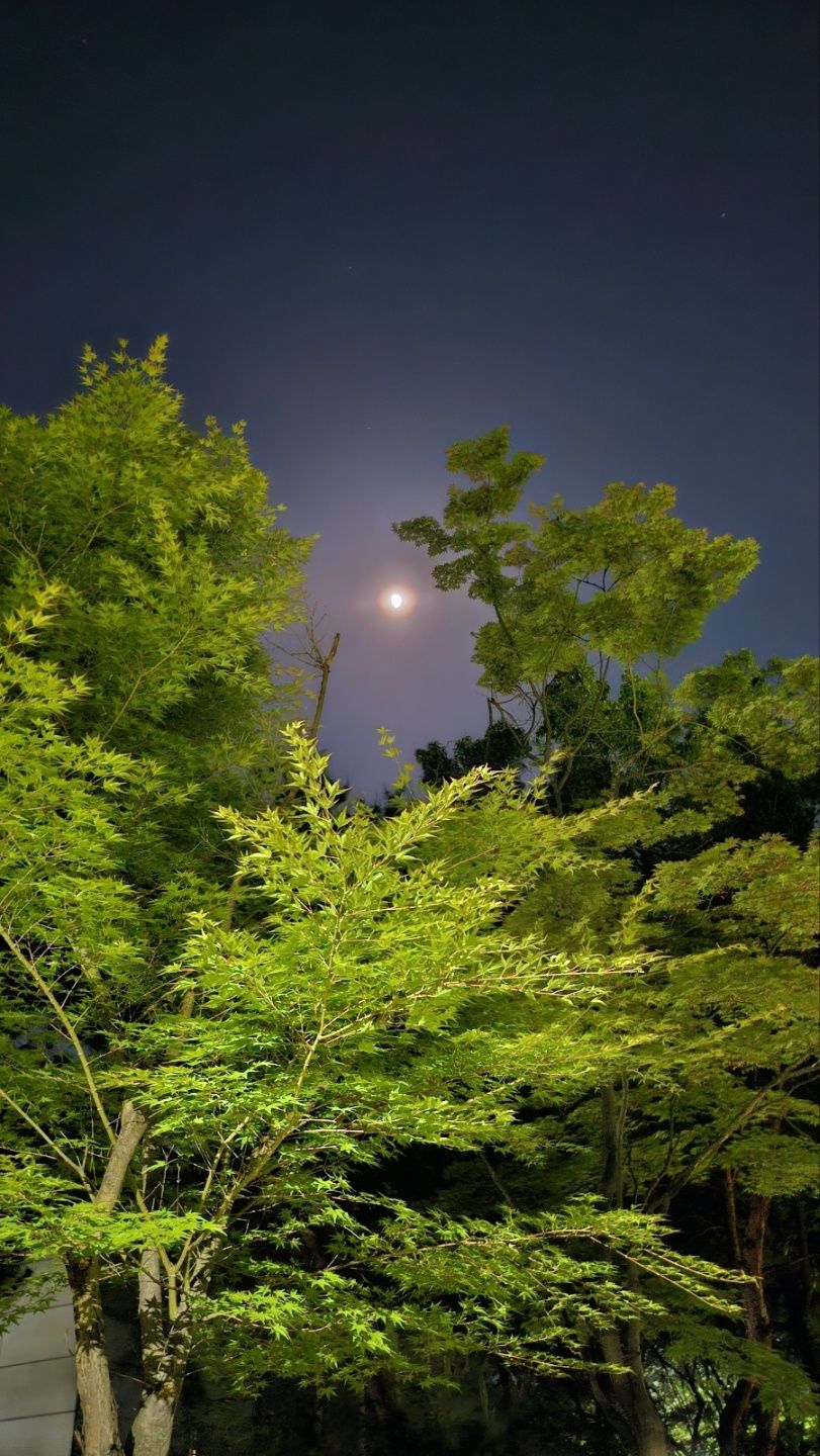 희망의 메세지의 밝은 달빛