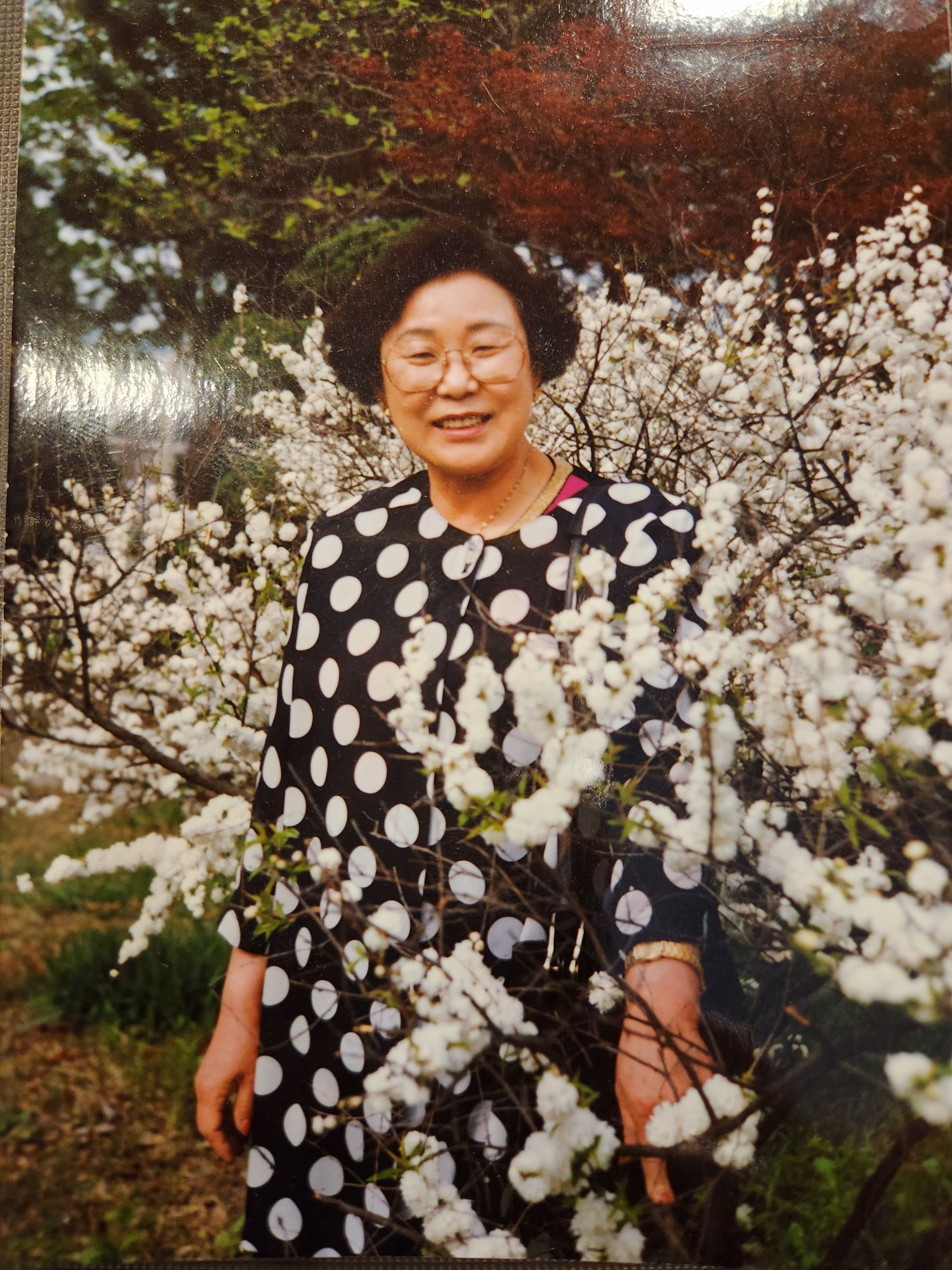 보고 싶은 엄마