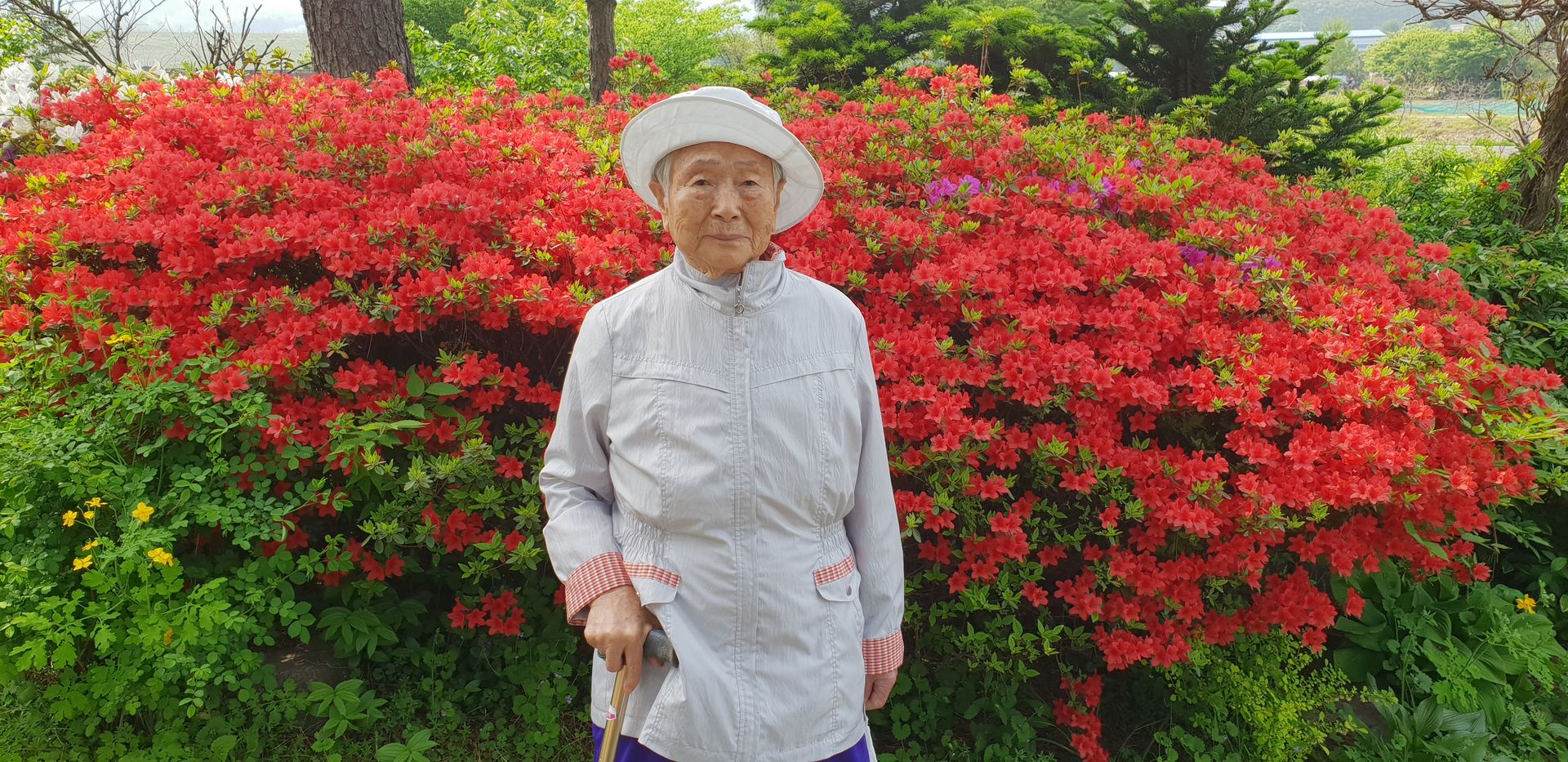 박정남 어머님 아버님 사진