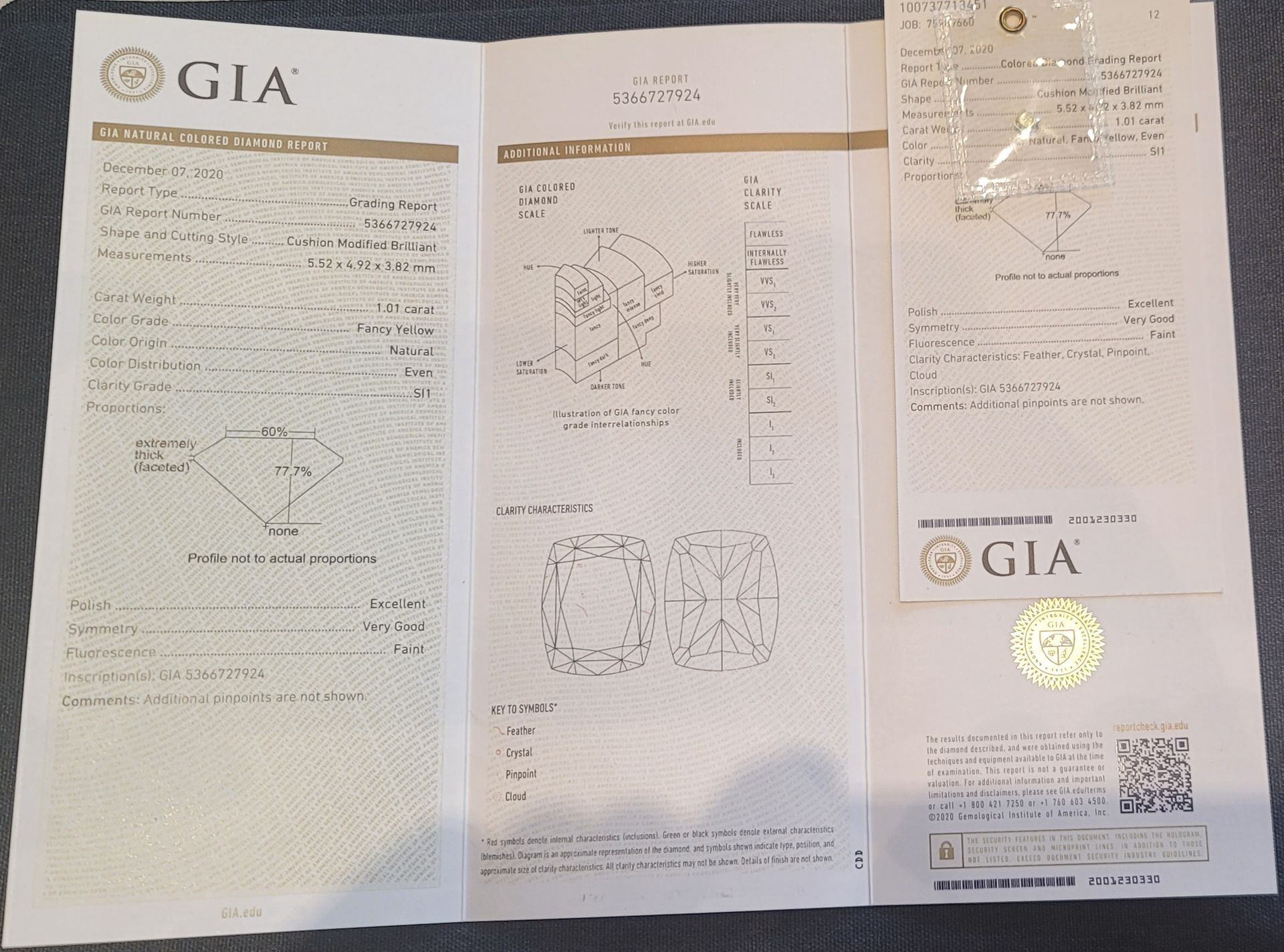 유리자베스 펜시 유향숙
