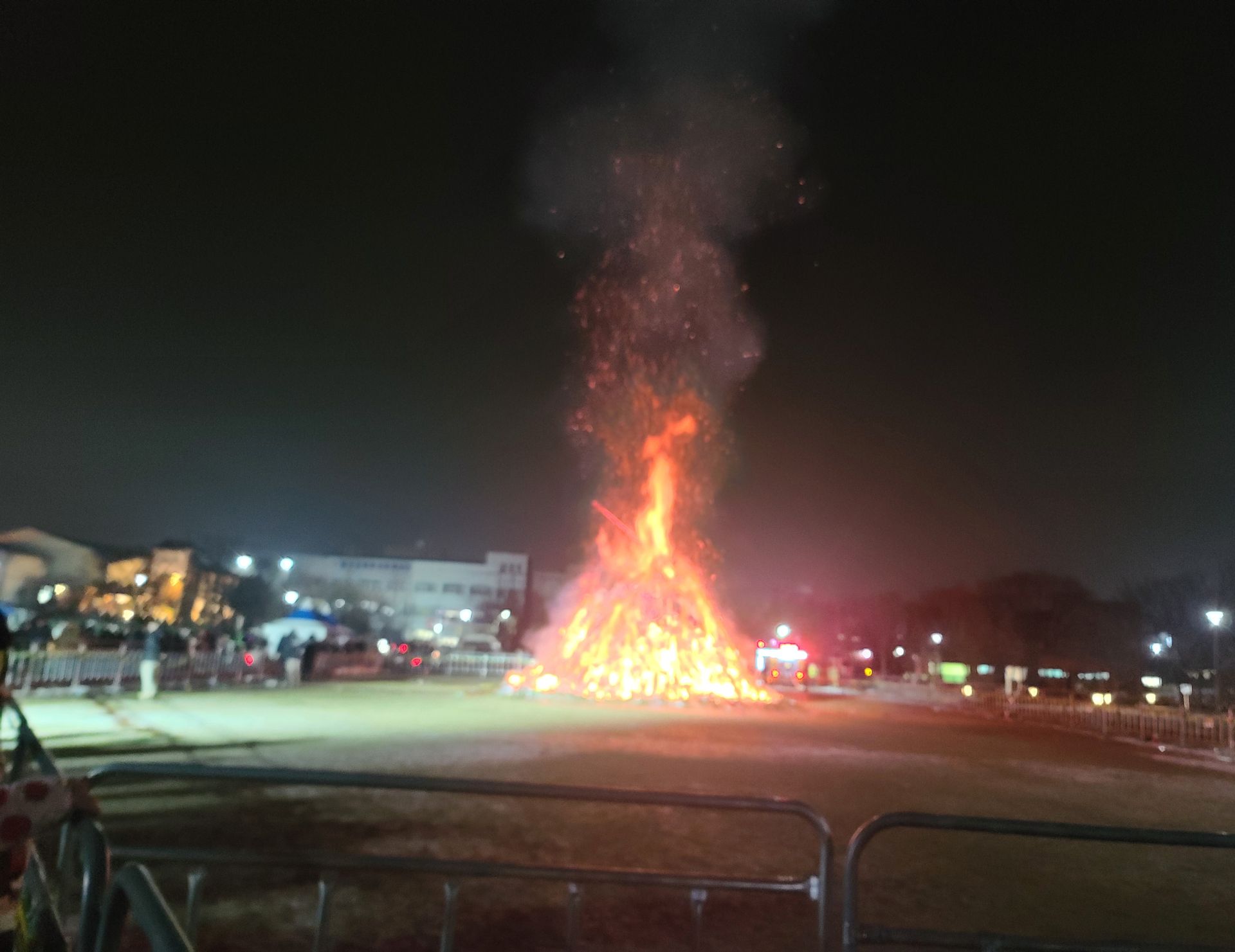 상팔자 푸들별이