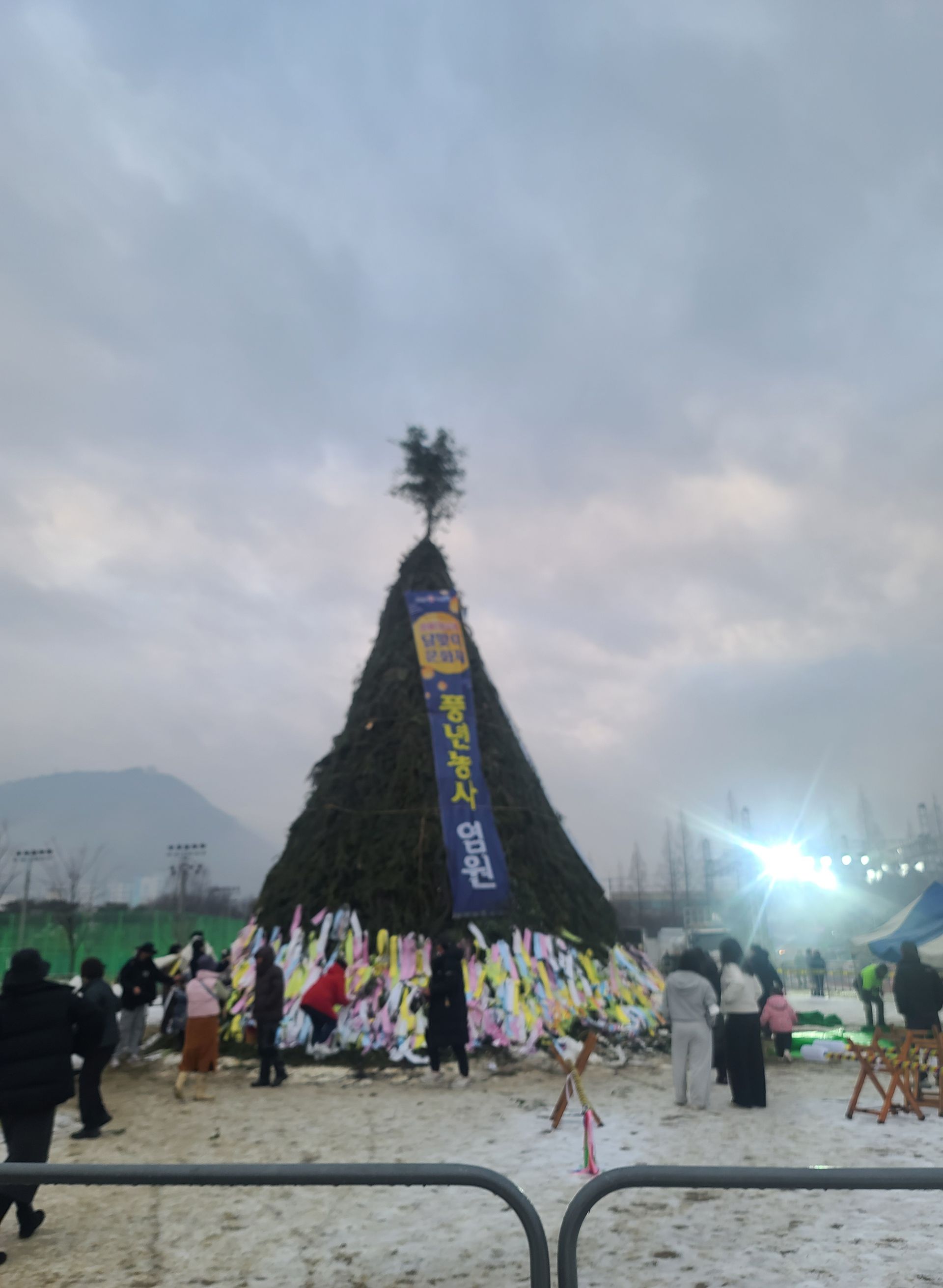 상팔자 푸들별이