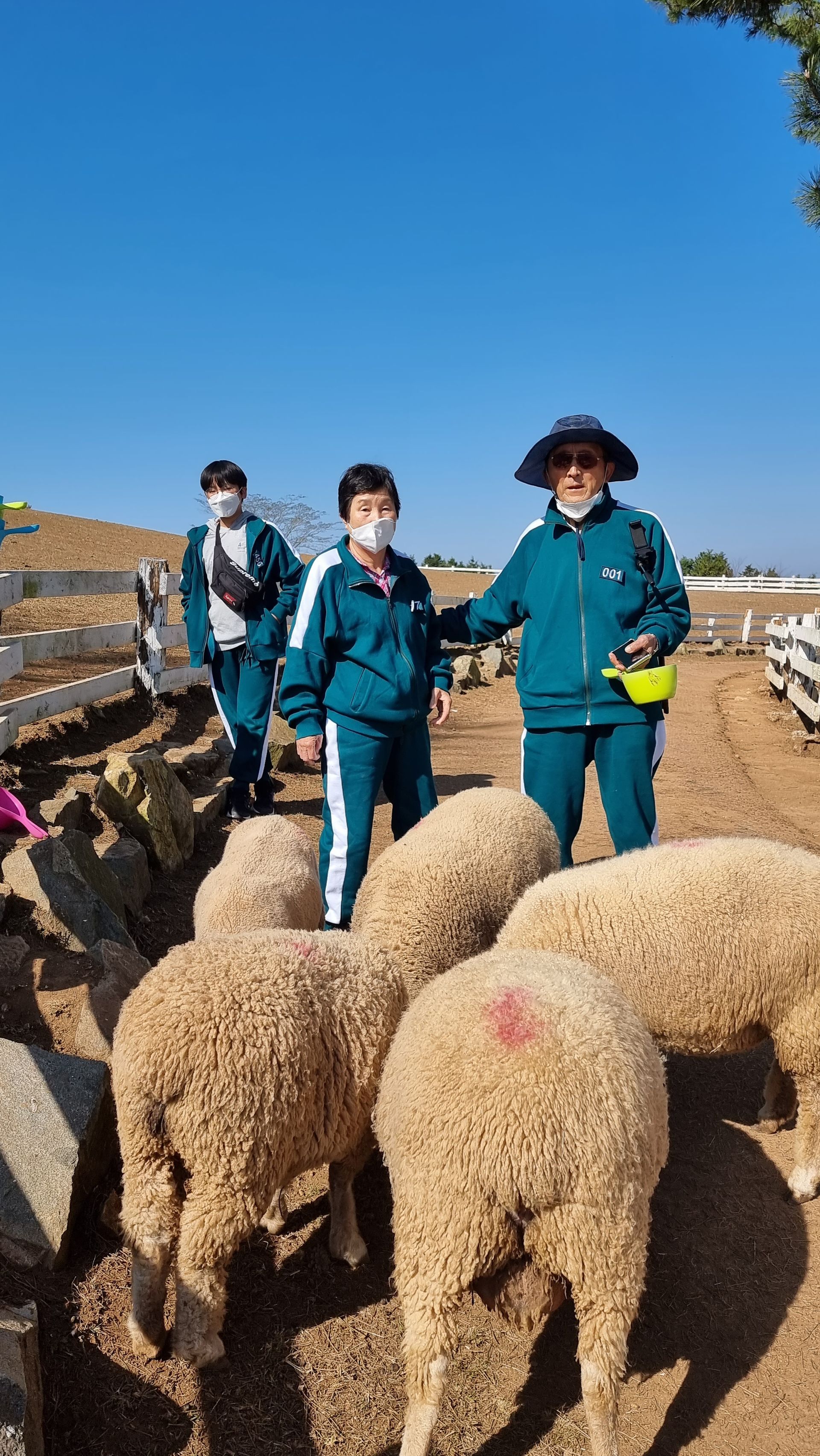 나의 팔순 여행
