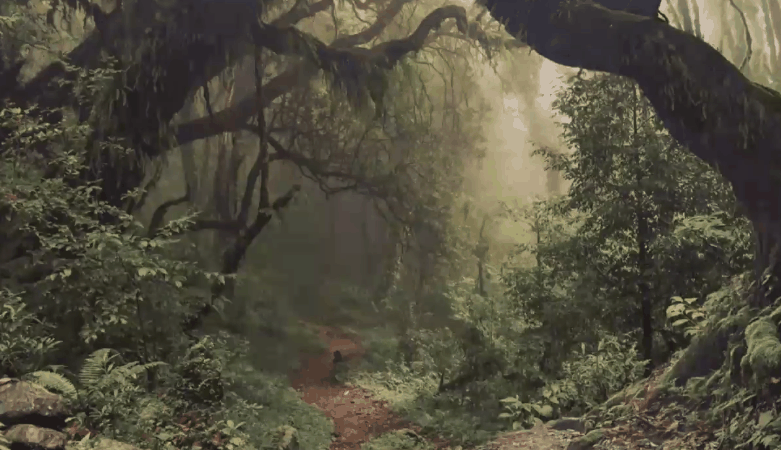 The Costume of Painter - Rainy