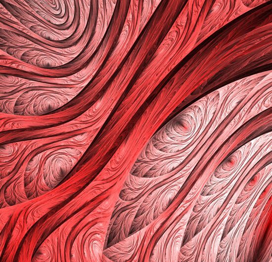 [검증등기] 등기신청 견본