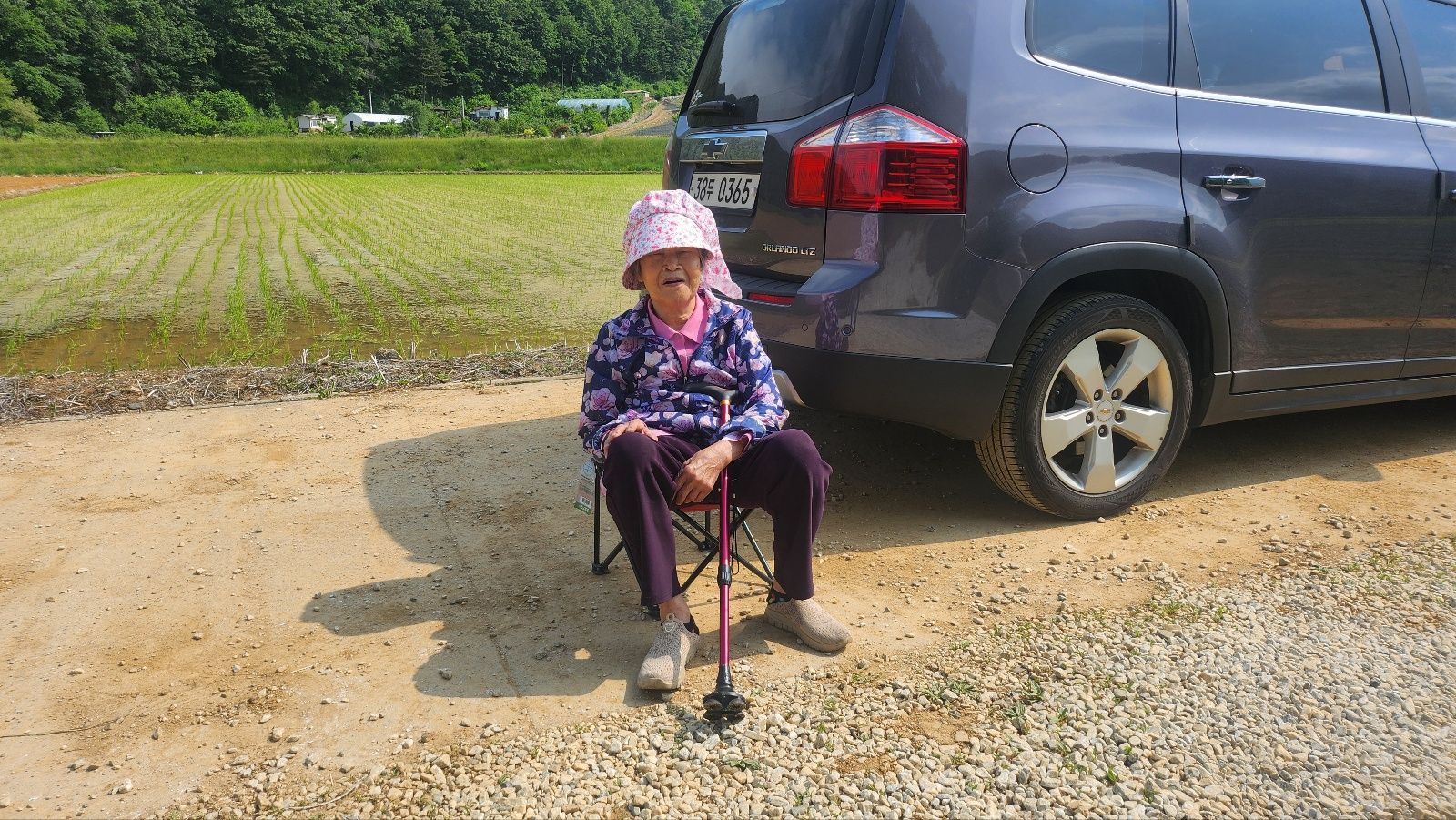 정선 화암면 구슬골길 유가네 수수 모심기 프로젝트