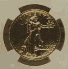 2009 ULTRA HIGH RELIEF GS20