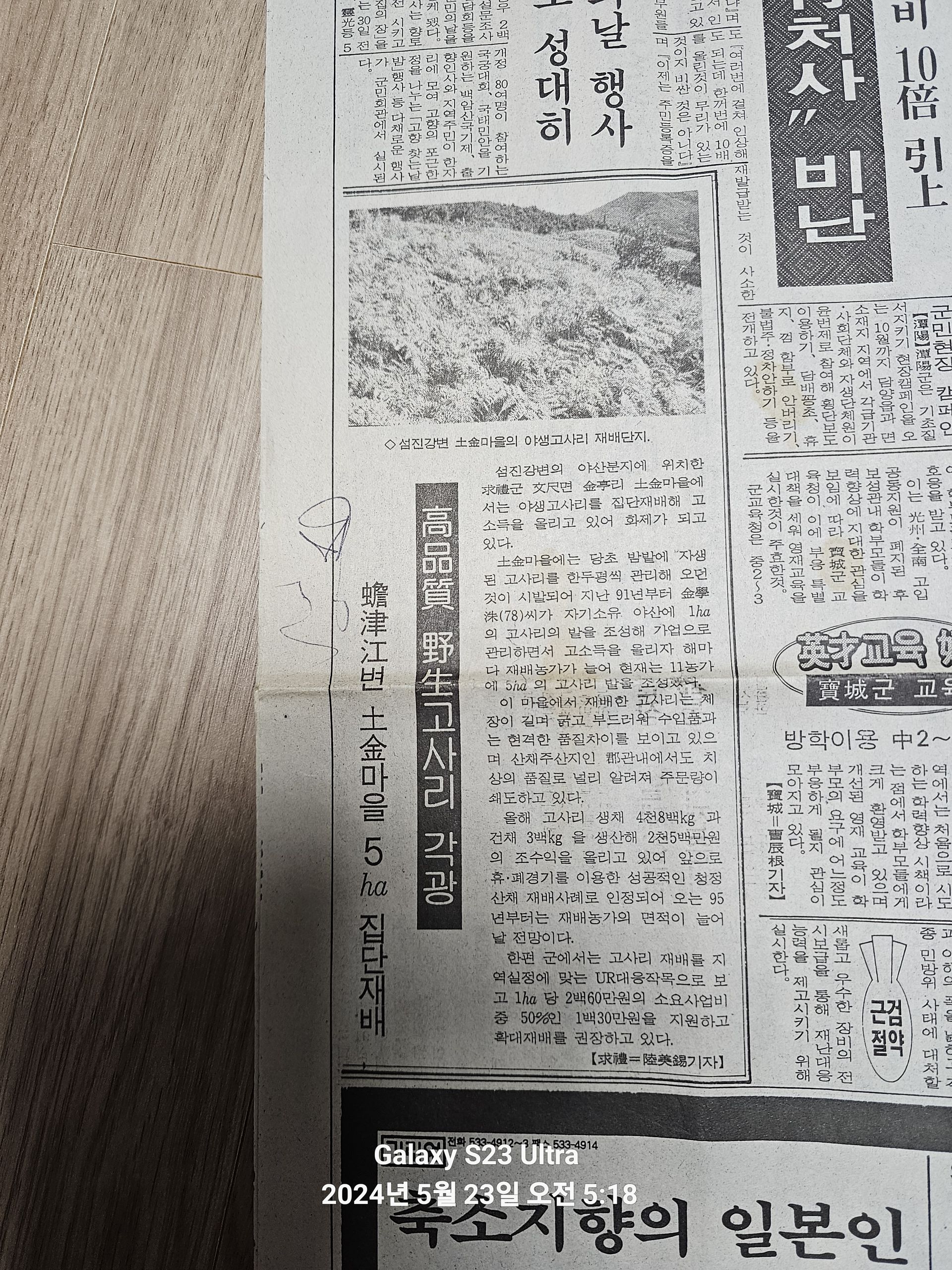 국내최초 고사리 재배자 김학수 인증 [신문기사_94.09.26]