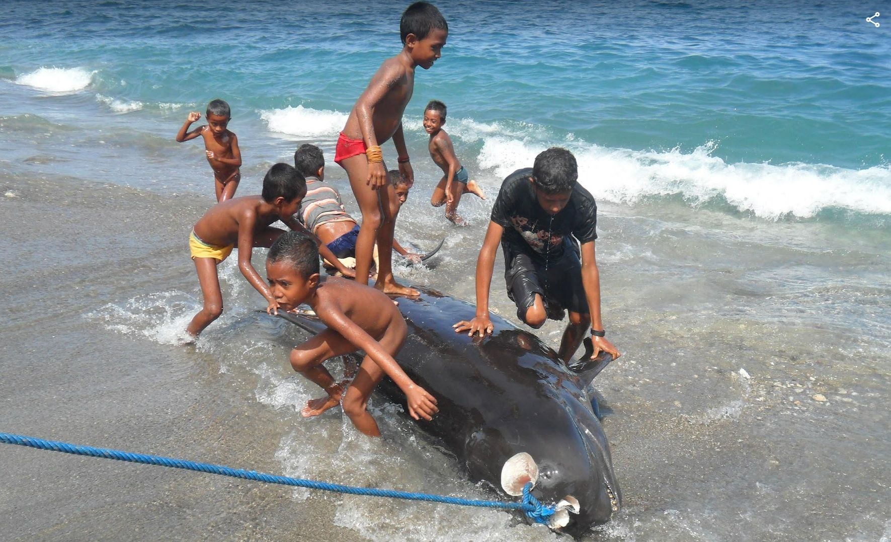 인도네시아_고래잡이마을의 아이들