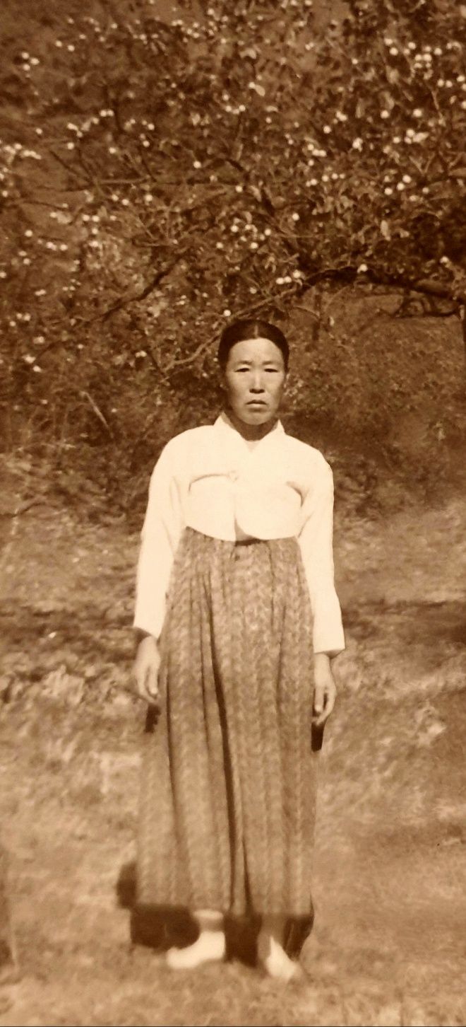 나의 어머니(이주표)