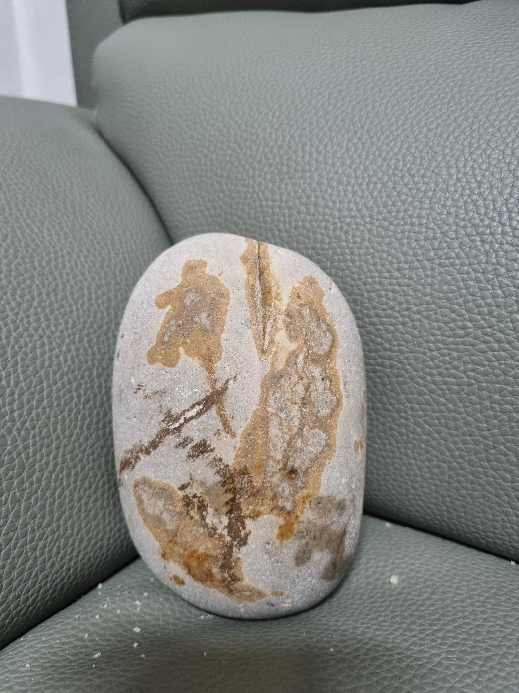 4주의 기적의 시작 ! 페마스쿨 1기 수료식